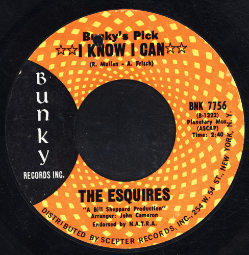Album herunterladen The Esquires - How Could It Be I Know I Can
