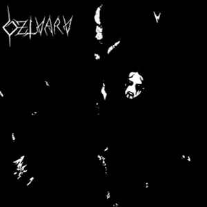 Dzlvarv - Dzlvarv album cover