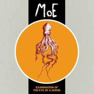 Moe (14) - Examination Of The Eye Of A Horse album cover