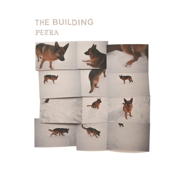 Album herunterladen The Building - Petra