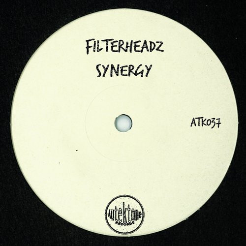 lataa albumi Filterheadz - Synergy