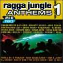Various - Ragga Jungle Anthems Vol. 1