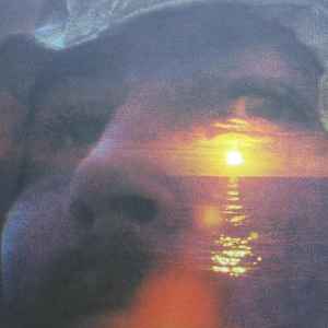 David Crosby - If I Could Only Remember My Name album cover