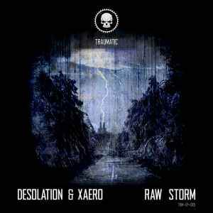 Desolation (9) - Raw Storm album cover