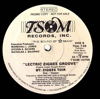télécharger l'album Ziggee Toir - Lectric Ziggee Groove