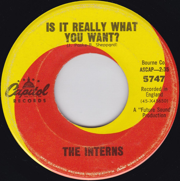 Album herunterladen The Interns - Is It Really What You Want Just Like Me