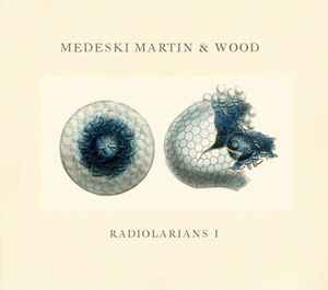 Medeski Martin & Wood - Radiolarians I