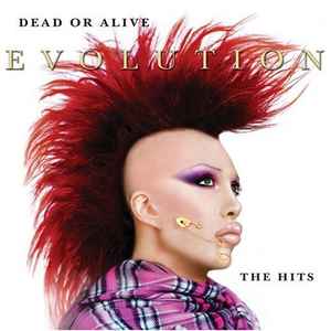 Dead Or Alive - Evolution - The Hits album cover