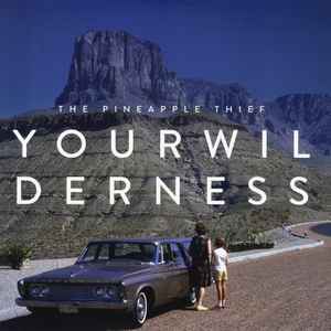 Your Wilderness - The Pineapple Thief