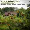Subcarpathians - Drewniane Domy