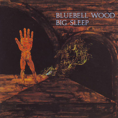 Big Sleep – Bluebell Wood (1971, Vinyl) - Discogs