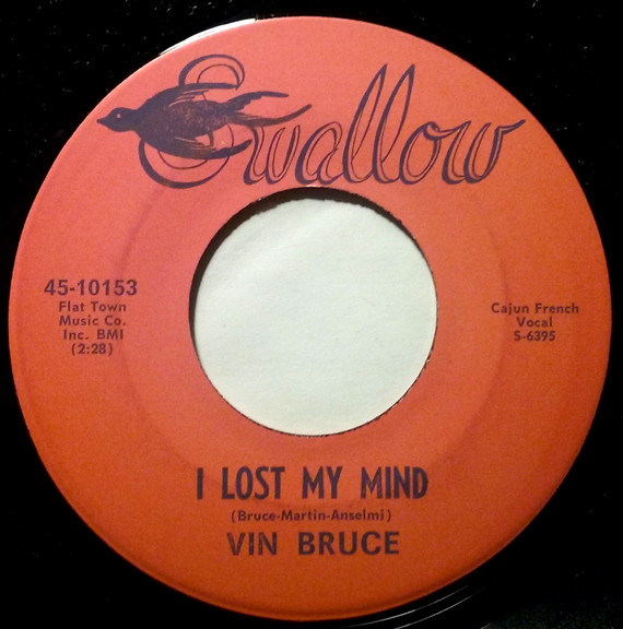 baixar álbum Vin Bruce - Ill Be A Bachelor I Lost My Mind