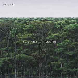 You're Not Alone  - Semisonic