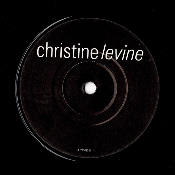 Album herunterladen Christine Levine - You Either Like It Or You Dont