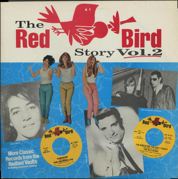 Vinyl Storage  2 Little Red Birds