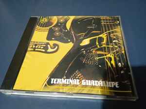 Terminal Guadalupe - Terminal Guadalupe album cover
