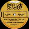 Cheeba's Latin Bros - What You Gotta Say - Hey, Hey !
