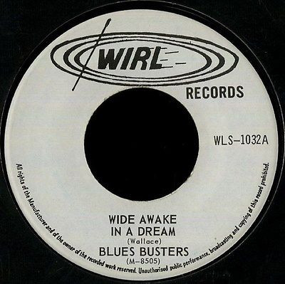 descargar álbum The Blues Busters - Wide Awake In A Dream Behold