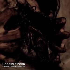 Horrible Porn - Horrible Porn â€“ Carving Fresh Orifices (2020, Cassette) - Discogs