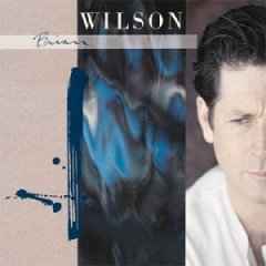 Brian Wilson - Brian Wilson album cover