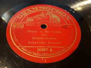 Schuricke-Terzett - Drunt' In Der Lobau / Geschichten Aus Dem Wienerwald album cover