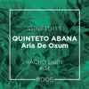 Quinteto Abana - Aria De Oxum (Nacho Libre Edit)
