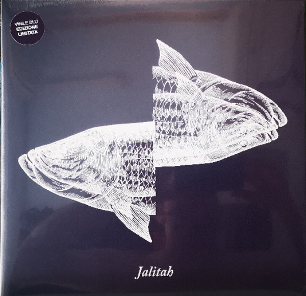 IOSONOUNCANE, Paolo Angeli – Jalitah (2023, Gatefold, Blue, Live, Vinyl) -  Discogs