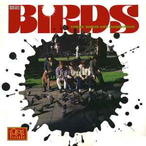 These Birds Are Dangerous - The Birds