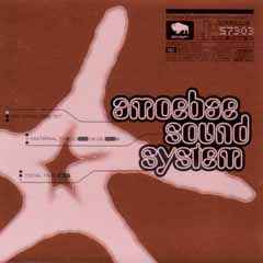 Amoebae Sound System - Buffalo Daughter