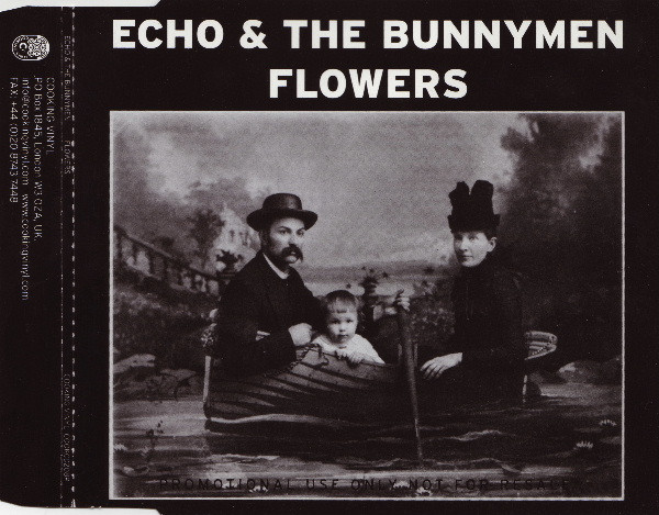 baixar álbum Echo & The Bunnymen - Flowers