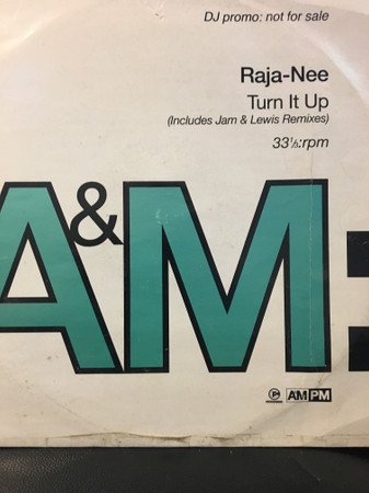 Raja-Neé – Turn It Up (1994, Vinyl) - Discogs