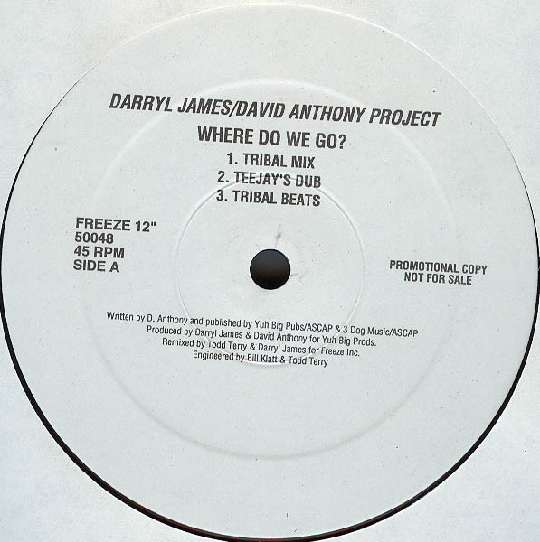 descargar álbum Darryl JamesDavid Anthony Project - Where Do We Go