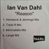 Ian Van Dahl - Reason