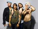 last ned album Red Hot Chilly Peppers - Under The Bridge Live