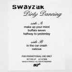 Swayzak – In The Car Crash (2002, Vinyl) - Discogs