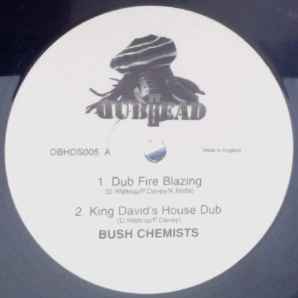 The Bush Chemists - Dub Fire Blazing / Wickedness