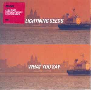 Lightning Seeds - What You Say