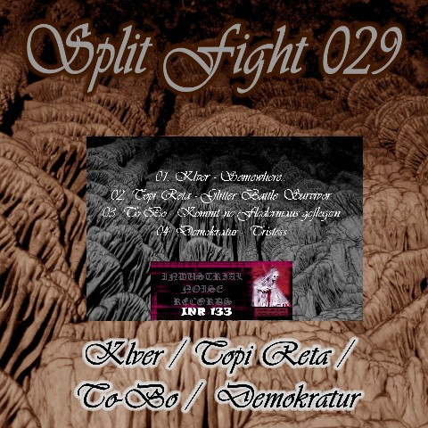 ladda ner album Klver Topi Reta ToBo Demokratur - Split Fight 029
