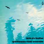Spontaneous Music Ensemble - Birds Of A Feather | Releases | Discogs