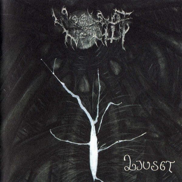 Woods Of Infinity - Ljuset | Releases | Discogs