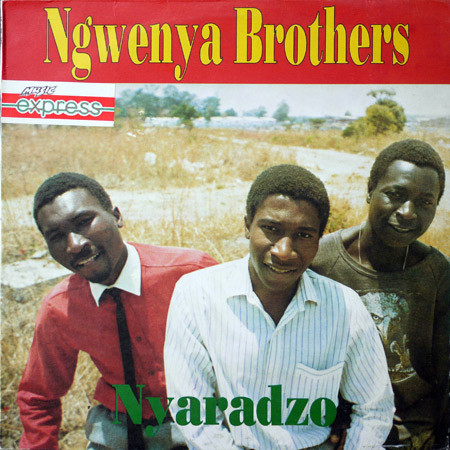 Album herunterladen Ngwenya Brothers - Nyaradzo