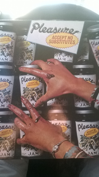 Pleasure – Accept No Substitutes (1976, Vinyl) - Discogs