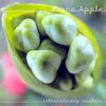 Fiona Apple – Extraordinary Machine (CD) - Discogs