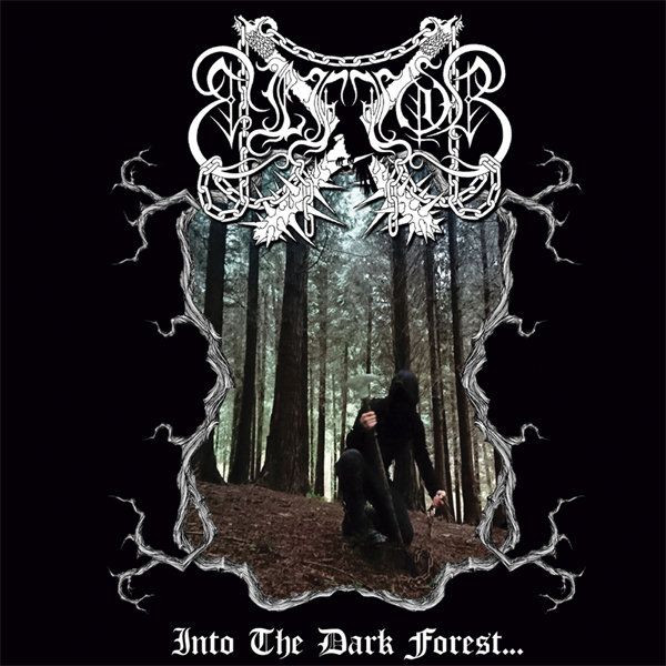 Elffor – Into The Dark Forest (2018, CD) - Discogs