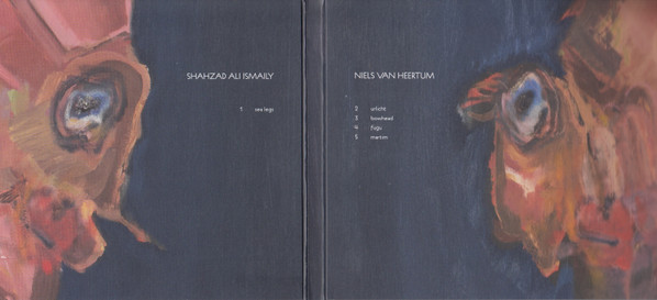 Album herunterladen Shahzad Ali Ismaily Niels Van Heertum - Sea Legs Hum Back