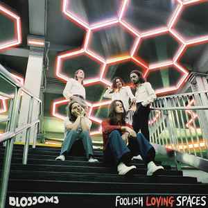 Blossoms – Ribbon Around The Bomb (2022, Zoetrope, Vinyl) - Discogs