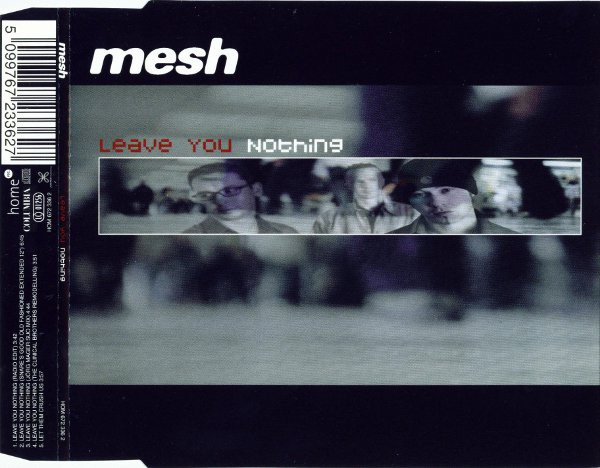 Album herunterladen Mesh - Leave You Nothing
