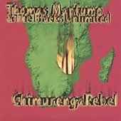 Thomas Mapfumo - Chimurenga Rebel / Manhungetunge album cover