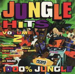Various - Jungle Hits Volume 2 album cover