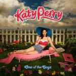 One Of The Boys / Katy Perry